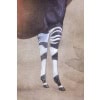 Toile peinte représentant un okapi sur un fond gris. Contemporain. LS63391621B 11