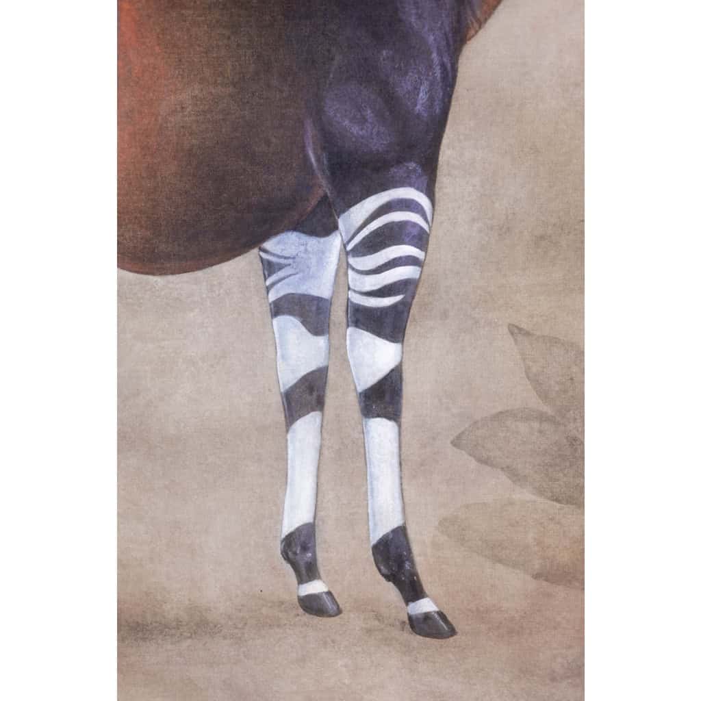 Toile peinte représentant un okapi sur un fond gris. Contemporain. LS63391621B 5