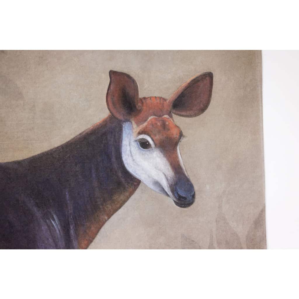 Toile peinte représentant un okapi sur un fond gris. Contemporain. LS63391621B 6