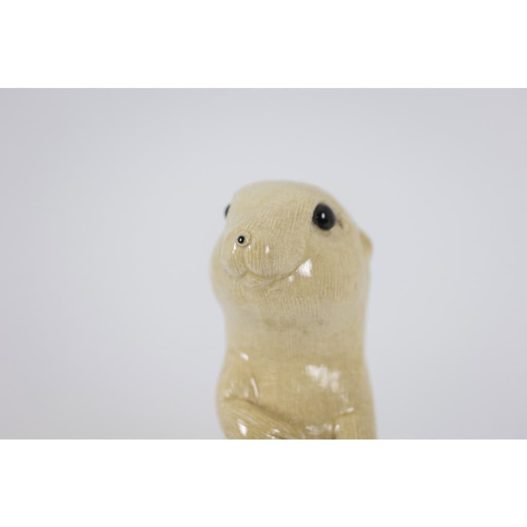 Valérie Courtet. Chien de prairie. Travail contemporain. LS5082 10