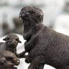 Sculpture – Famille De Mérinos , Jules Moigniez (1835 – 1894) – Bronze 23