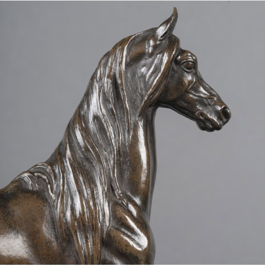 Sculpture – Cheval Antérieur Levé , Alfred Barye (1839-1895) – Bronze 5