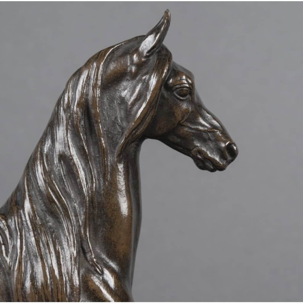 Sculpture – Cheval Antérieur Levé , Alfred Barye (1839-1895) – Bronze 8