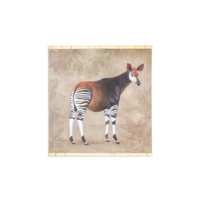 Toile peinte représentant un okapi sur un fond gris. Contemporain. LS63391621B