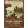 Affiche Tourisme Originale, Géo Dorival, Chemins de Fer, Transport, Voyage, Bretagne Pittoresque, Côtes du Nord, Trains, 1909 7