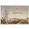 Affiche Tourisme Originale, Hugo d’Alési, Thermes Valentia, Monaco, Chemins de Fer, Transport, Voyage, Trains, La Condamine, Eau Thermale, Eau de Source, Bain Thermal, Bain de Mer, Côte d’Azur, c.1896 9