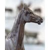 Sculpture – Le Cheval Kaolin , Alfred Dubucand (1828 – 1894) – Bronze 22