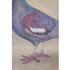 Toile peinte représentant un pigeon huppé. Contemporain. LS6340406A 11