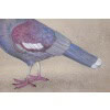 Toile peinte représentant un pigeon huppé. Contemporain. LS6340406A 13