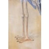 Toile peinte représentant un bec-en-sabot du Nil. Contemporain. LS6347908M 15