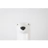 Valérie Courtet. Bear presenting 3 animals. Contemporary. LS64211605M 16