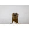 Valérie Courtet. Loutre tenant un poisson. Contemporain.LS6420551A 22