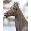 Sculpture – Le Cheval Kaolin , Alfred Dubucand (1828 – 1894) – Bronze 17