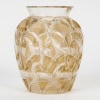 1931 René Lalique – Vase Chamois Verre Blanc Patiné Sépia 7