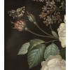 Jan VAN OS (1744 -1808) Bouquet De Fleurs 21