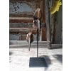 Crânes de couple de Calao à casque noir (Ceratogymna Atrata) 11