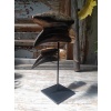 Crânes de couple de Calao à casque noir (Ceratogymna Atrata) 14