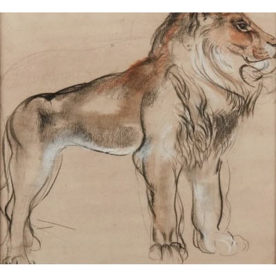 Lion par Camille ROCHE