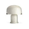 1925, DAUM Nancy France Lampe champignon 7