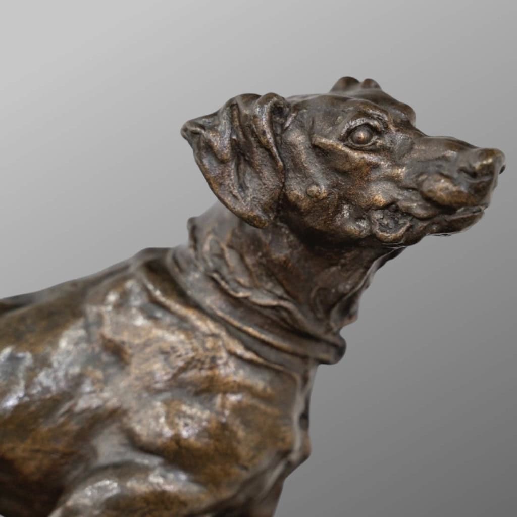 Sculpture – Chien Braque Marly , Pierre – Jules Mêne (1810-1879) – Bronze 5