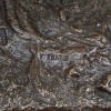 Sculpture – Jument Et Son Poulain , Christophe Fratin (1801-1864) – Bronze 22