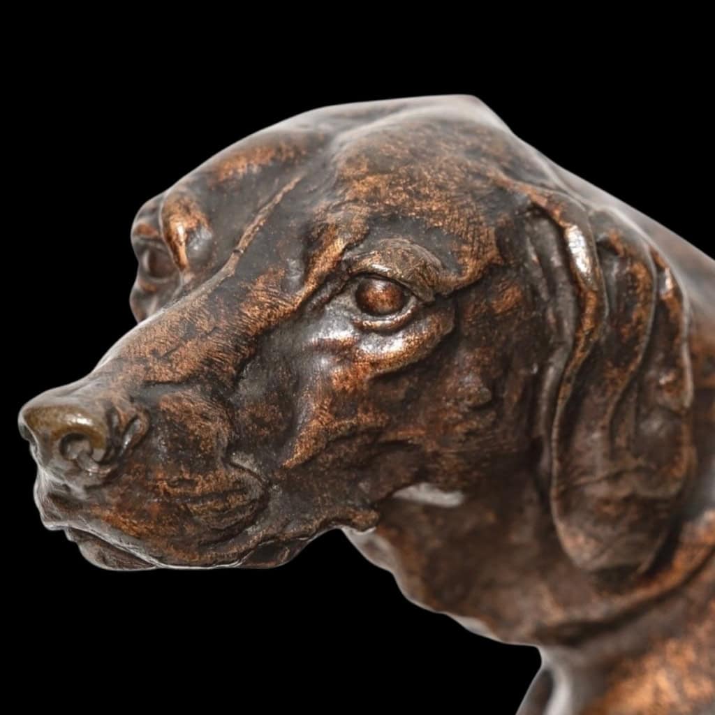 Sculpture – Chien Braque Gardant Un Lapin Par Pierre – Jules Mêne ( 1810-1879) – Bronze 7