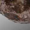 Sculpture – Truie , Tommaso Campaiola – Bronze 20