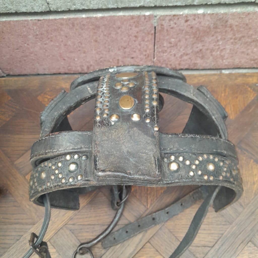 Casque de parade de cheval de cirque (ou éléphanteau), XIXÈME, cuir clouté laiton 8