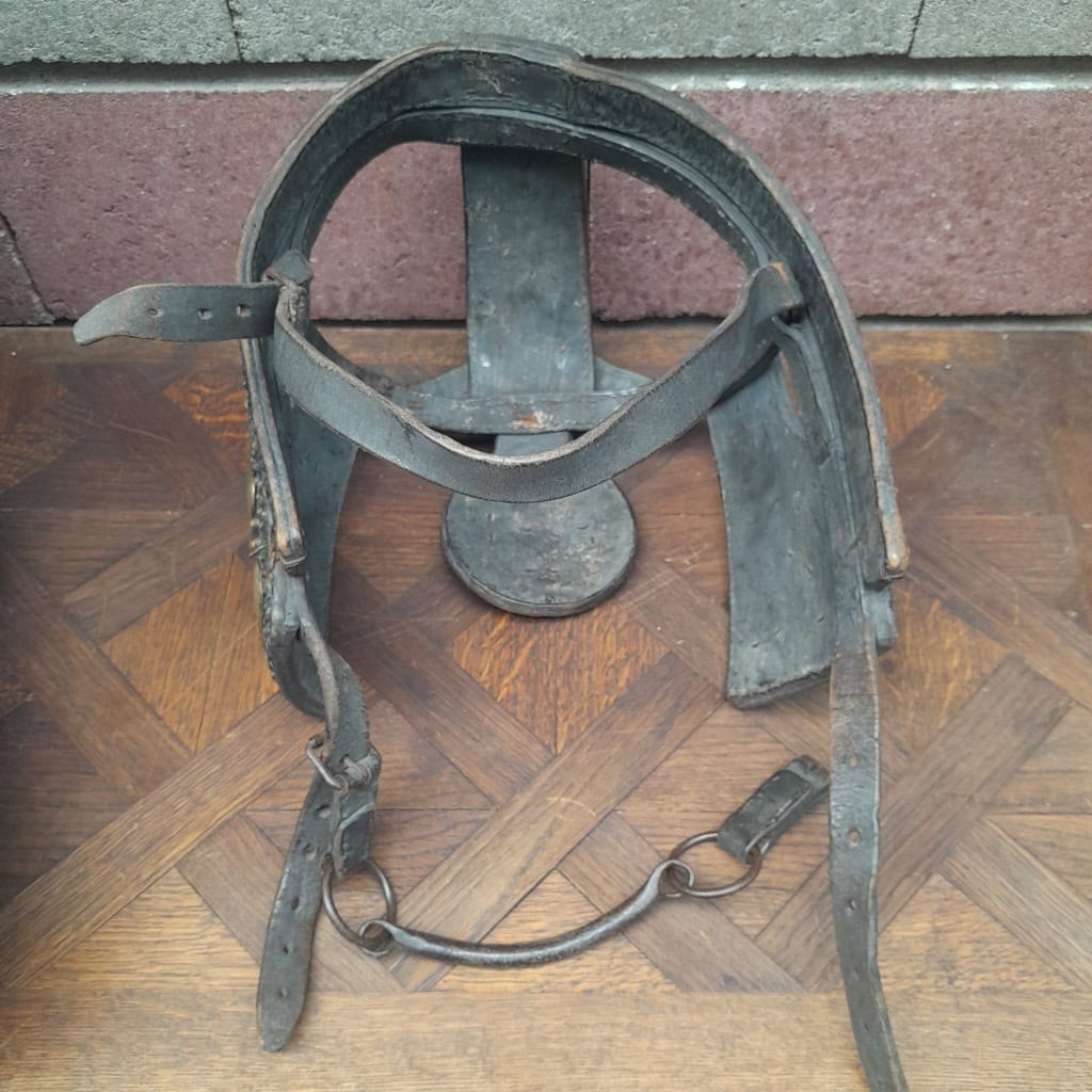 Casque de parade de cheval de cirque (ou éléphanteau), XIXÈME, cuir clouté laiton 9