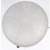 1920 -DAUM Nancy France Lampe de table 12