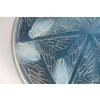 1921- René Lalique – Boîte « Cléones » 11