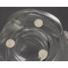 Lalique – Vase Martinets 21