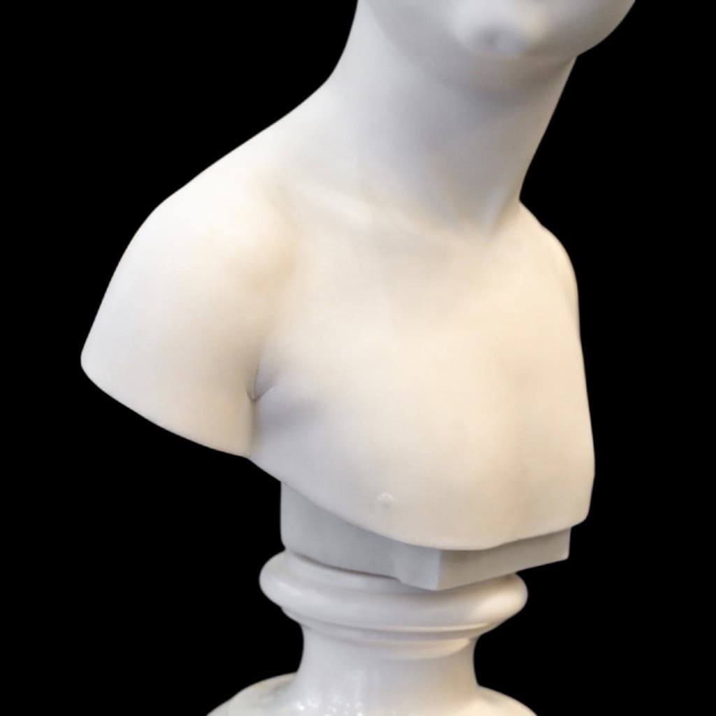 Buste De Marie – Louise Brongniart , Jean – Antoine Houdon (1741-1828) – Marbre 9