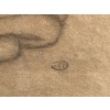 MAILLOL Aristide Nu allongé Fusain sur papier signé certificat d’authenticité 15
