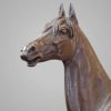 Sculpture – Le Cheval Kaolin , Alfred Dubucand (1828 – 1894) – Bronze 16