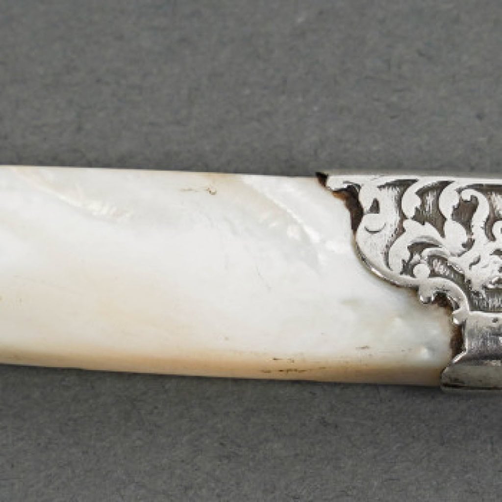 Orfèvre MERITE – Ensemble de 36 couteaux en nacre et argent Fin XIXe 30