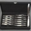 Orfèvre MERITE – Ensemble de 36 couteaux en nacre et argent Fin XIXe 36