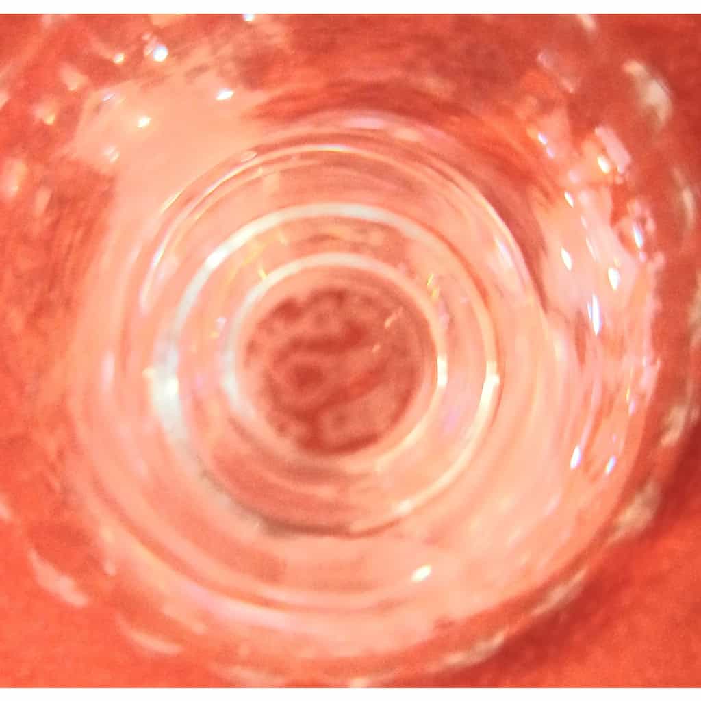 11 coupes en cristal Signées Baccarat Modèle Cassino 6