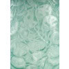 1914 René Lalique – Vase Monnaie Du Pape Verre Blanc Patiné Bleu Vert 11