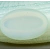 1920 René Lalique – Vase Escargot Verre Opalescent Patiné Bleu Vert 14