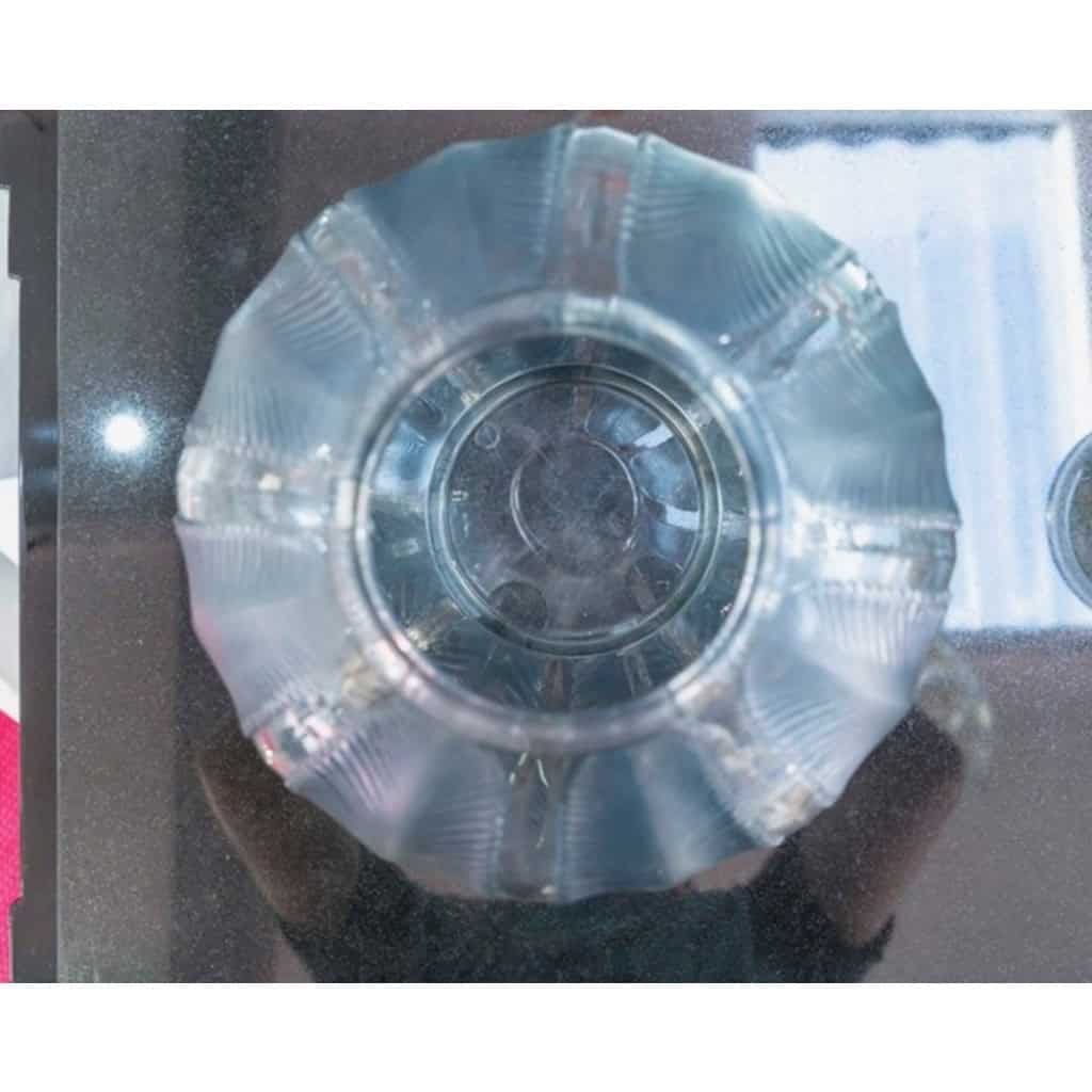 1932 – René Lalique – Vase « Biskra » 10