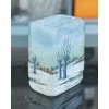 1905-DAUM NANCY Vase Paysage « Neige «  16