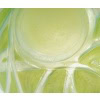 1912 René Lalique – Vase Sauterelles Verre Opalescent Double Couche Patiné Vert 12