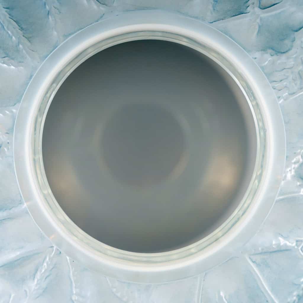 1927 René Lalique – Vase Alicante Verre Opalescent Triple Couche Patiné Bleu 8