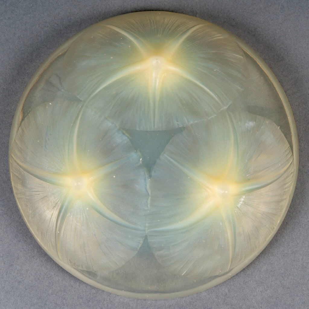 1921 René Lalique – Coupe Volubilis Verre Jaune Opalescent 6