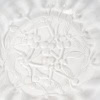 Cristal lalique ,Série de 6 assiettes « GUI » 9