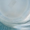1912 René Lalique – Vase Sauterelles Verre Opalescent Double Couche Patiné Bleu 14