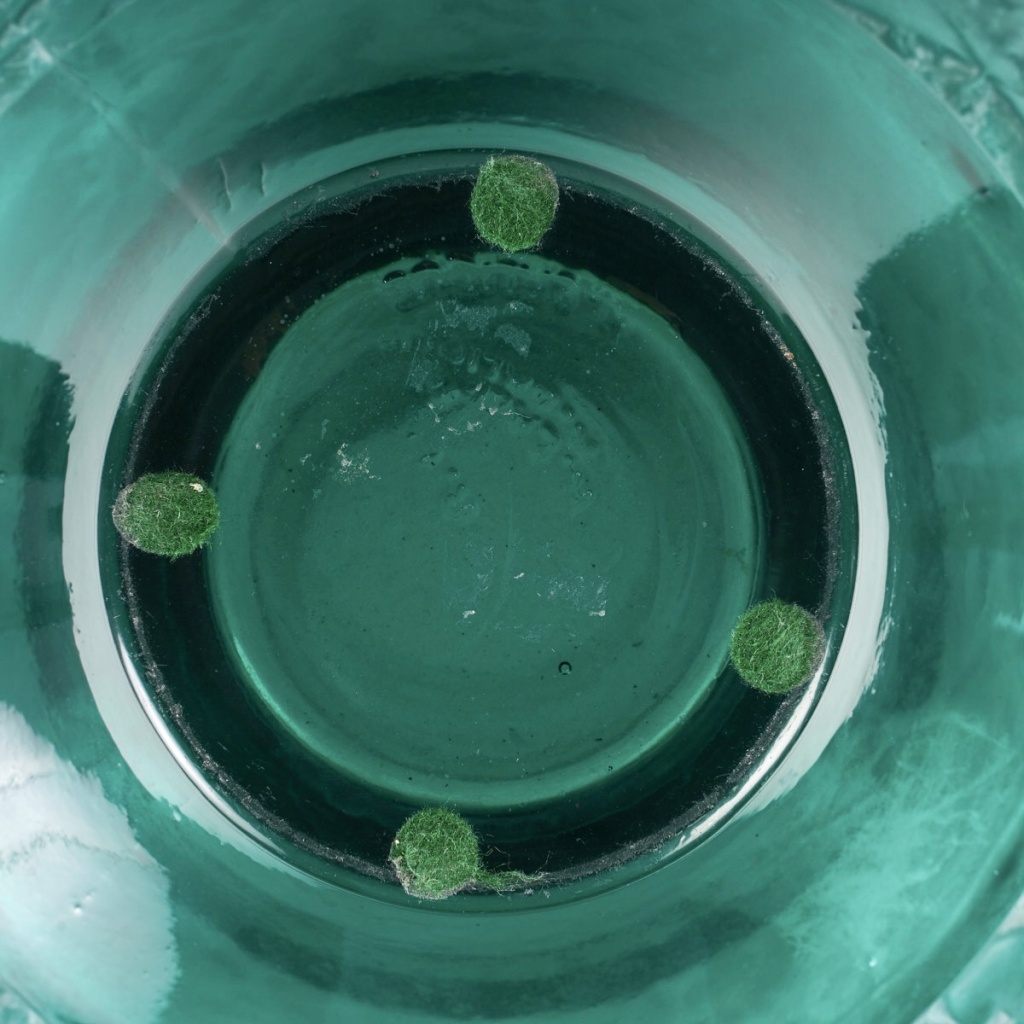 1924 René Lalique – Vase Aras Verre Vert Canard Patiné Blanc 8