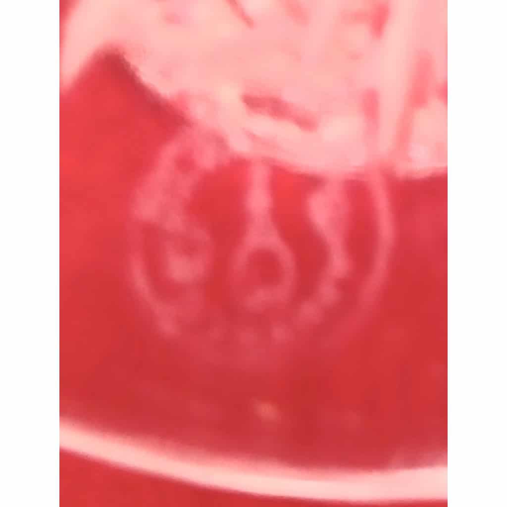 2 verres à eau en cristal de Baccarat Modèle Lagny 4