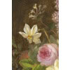 Edouard DIART 1840-1890 Nature morte aux Fleurs 19